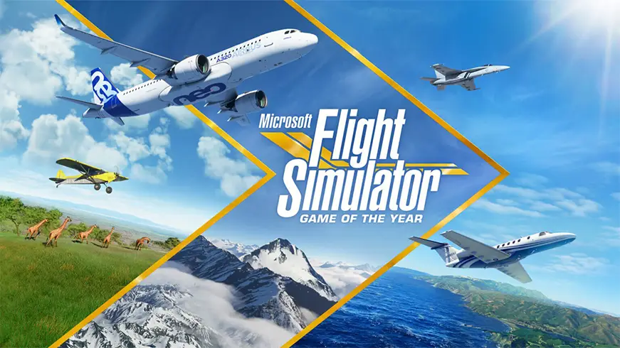 Microsoft Flight Simulator